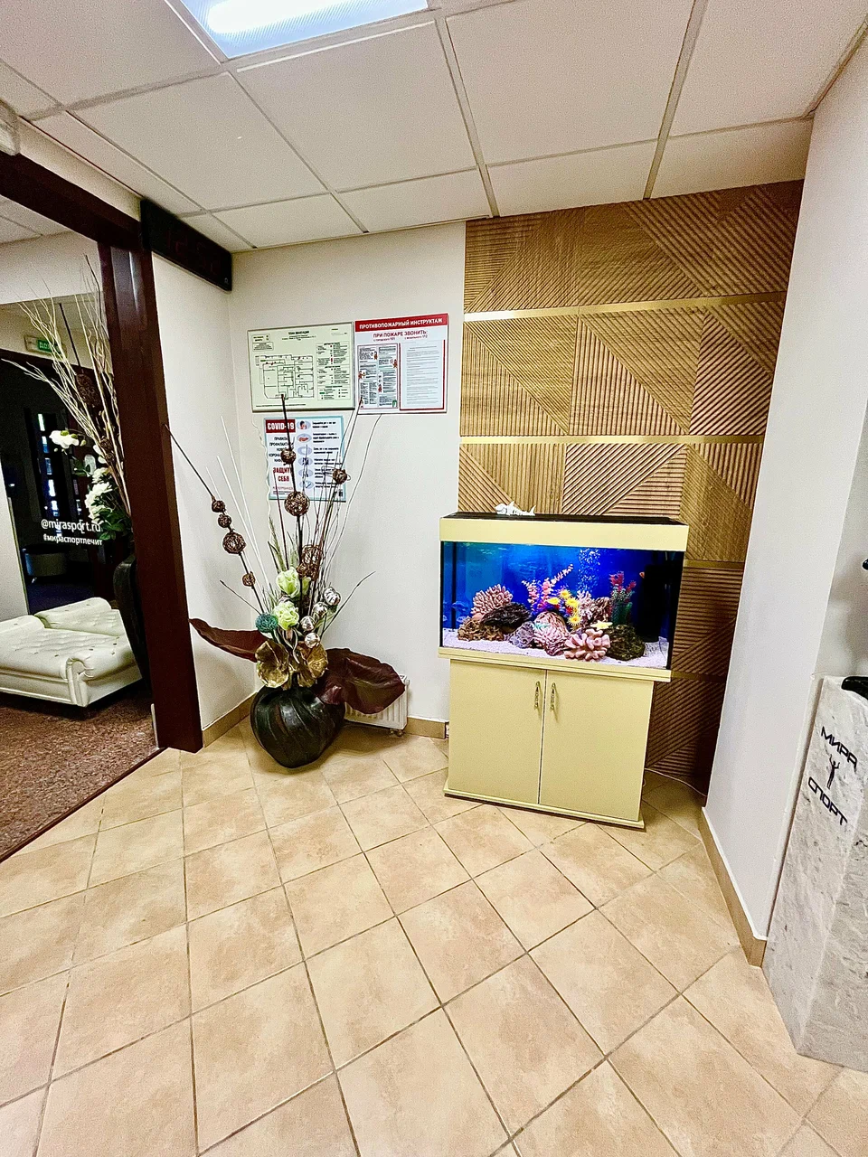 Центр Шрот-терапии и реабилитации опорно-двигательного аппарата