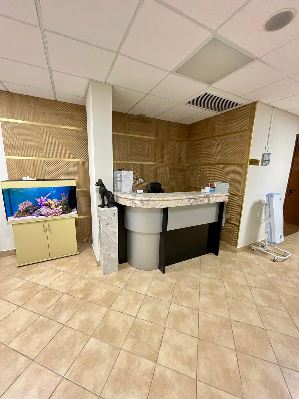 Центр Шрот-терапии и реабилитации опорно-двигательного аппарата