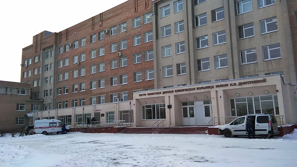 ГБУ РО "Областная детская клиническая больница им. Н.В.Дмитриевой"